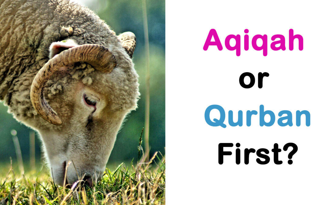 Aqiqah or Qurban First?